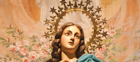 Solemnity of the Immaculate Conception of the Blessed Virgin Mary ...