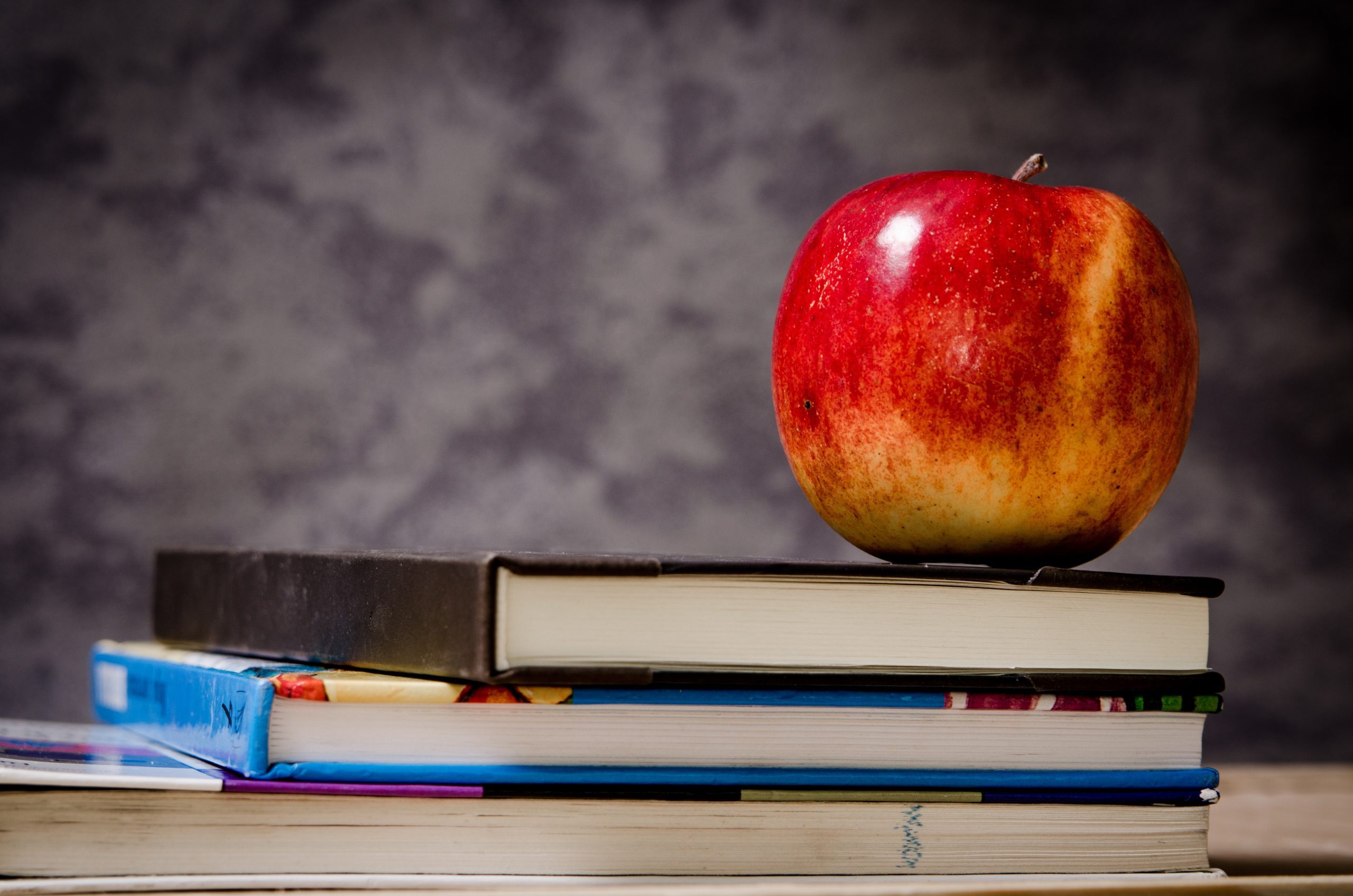 Catholic Schools Change Spring Break Dates
