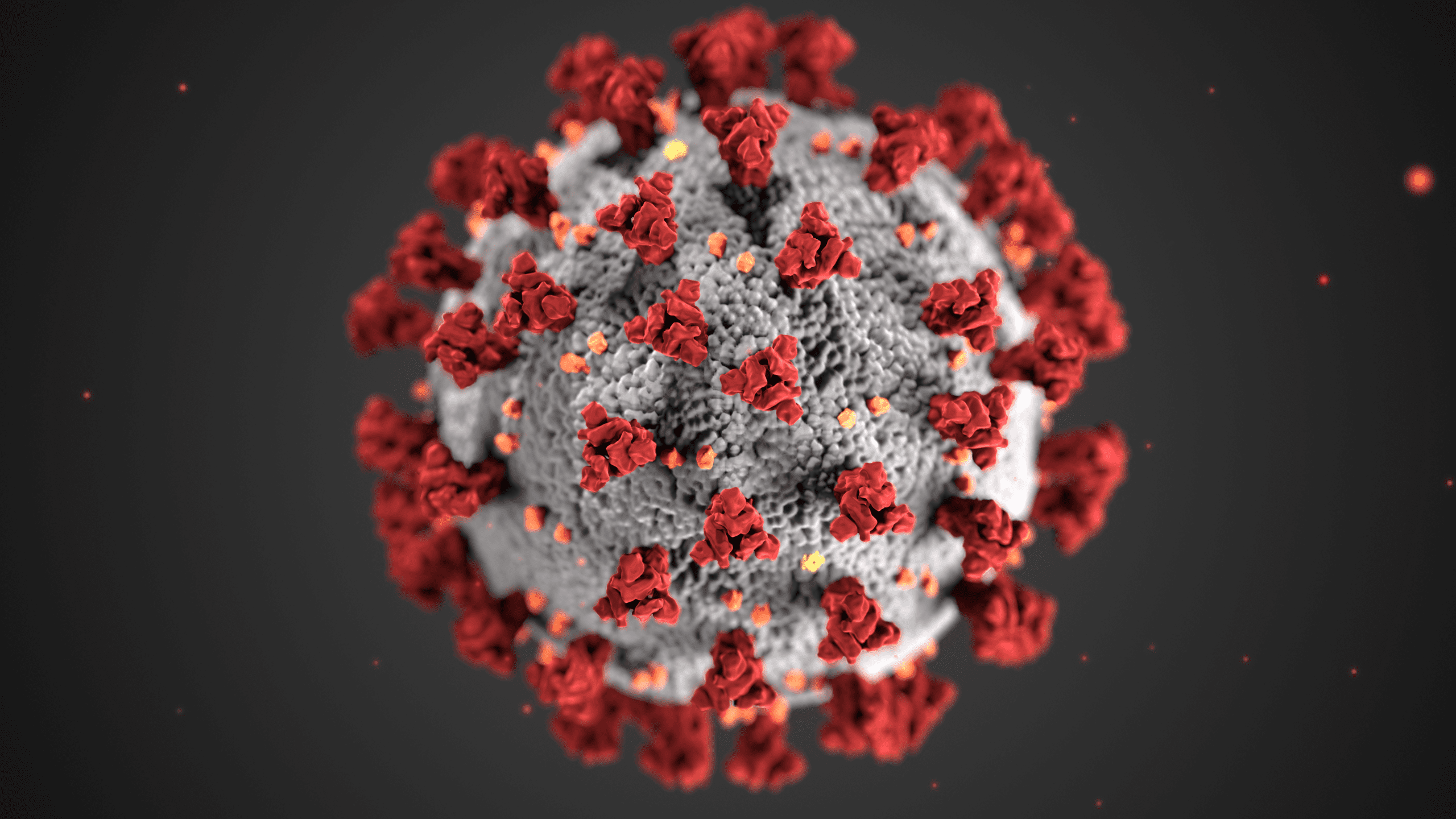 Is the COVID Vaccine OK for Catholics?