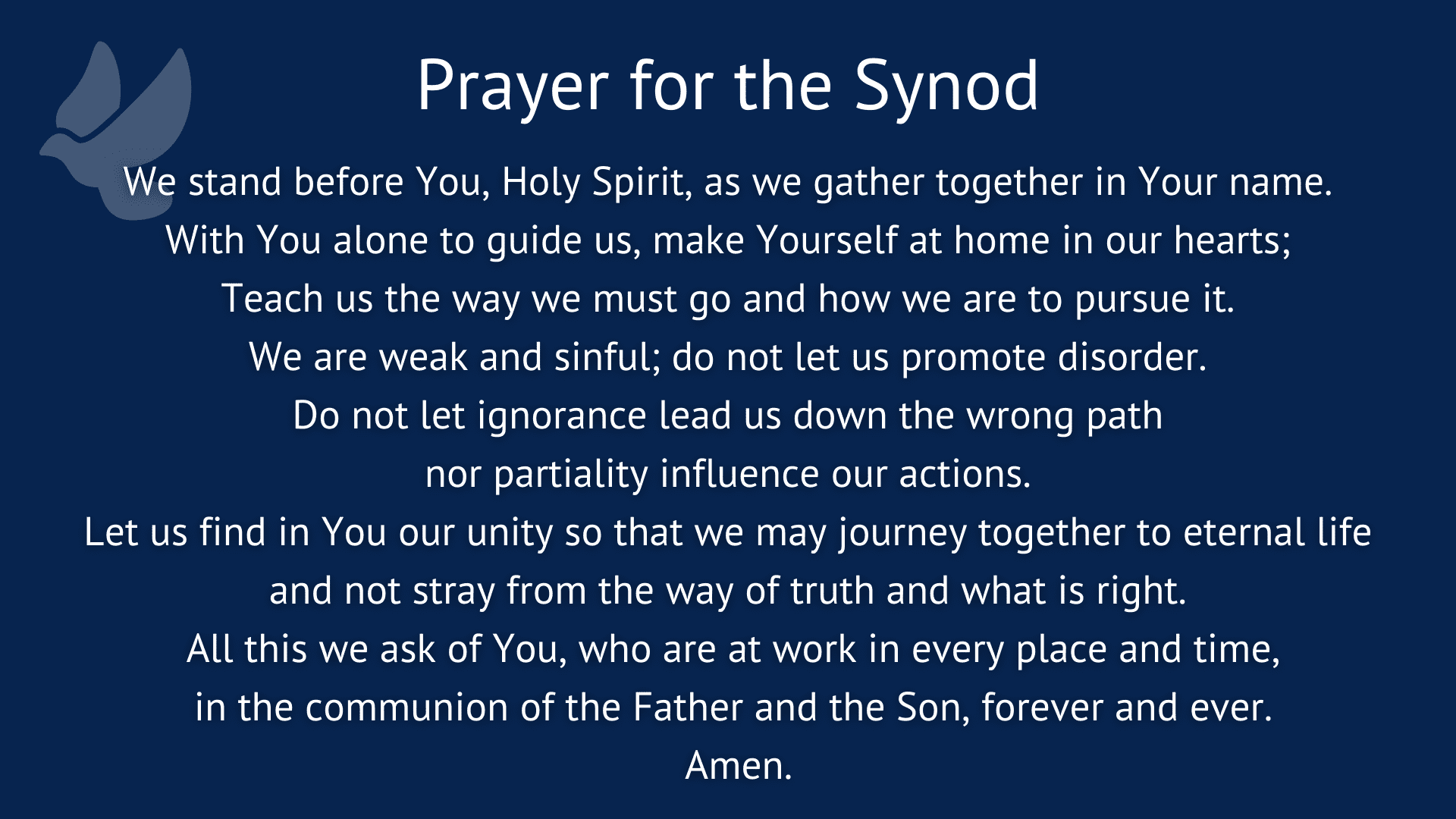 prayer for synodal journey