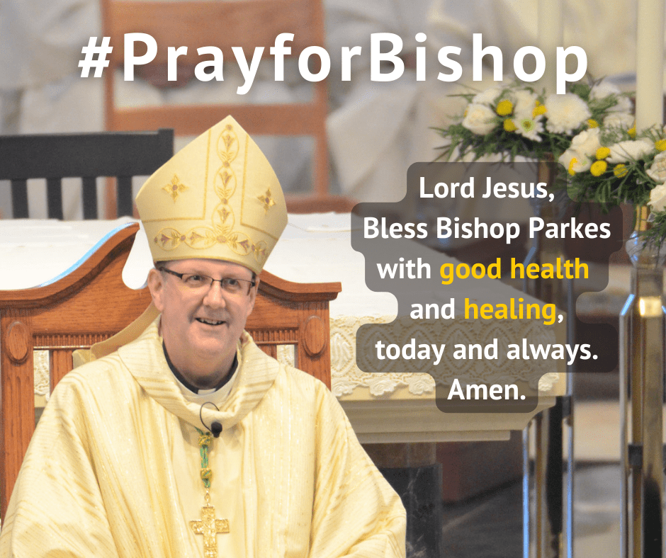 Three days shadowing Bishop Parkes